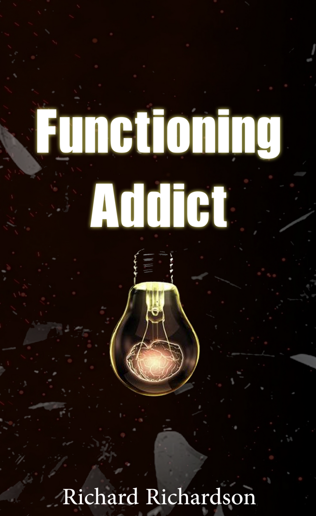 Functioning Addict (E-book)